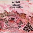 In The Land Of Grey And Pink